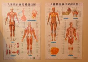 Chinese Masseuse for remedial treatments remedial treatments